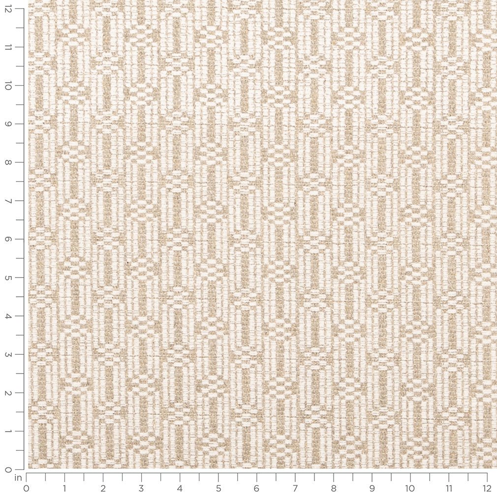 Fallon Parchment