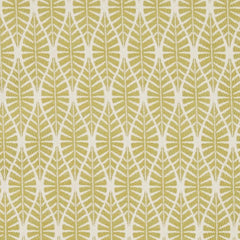 Fisher Citron