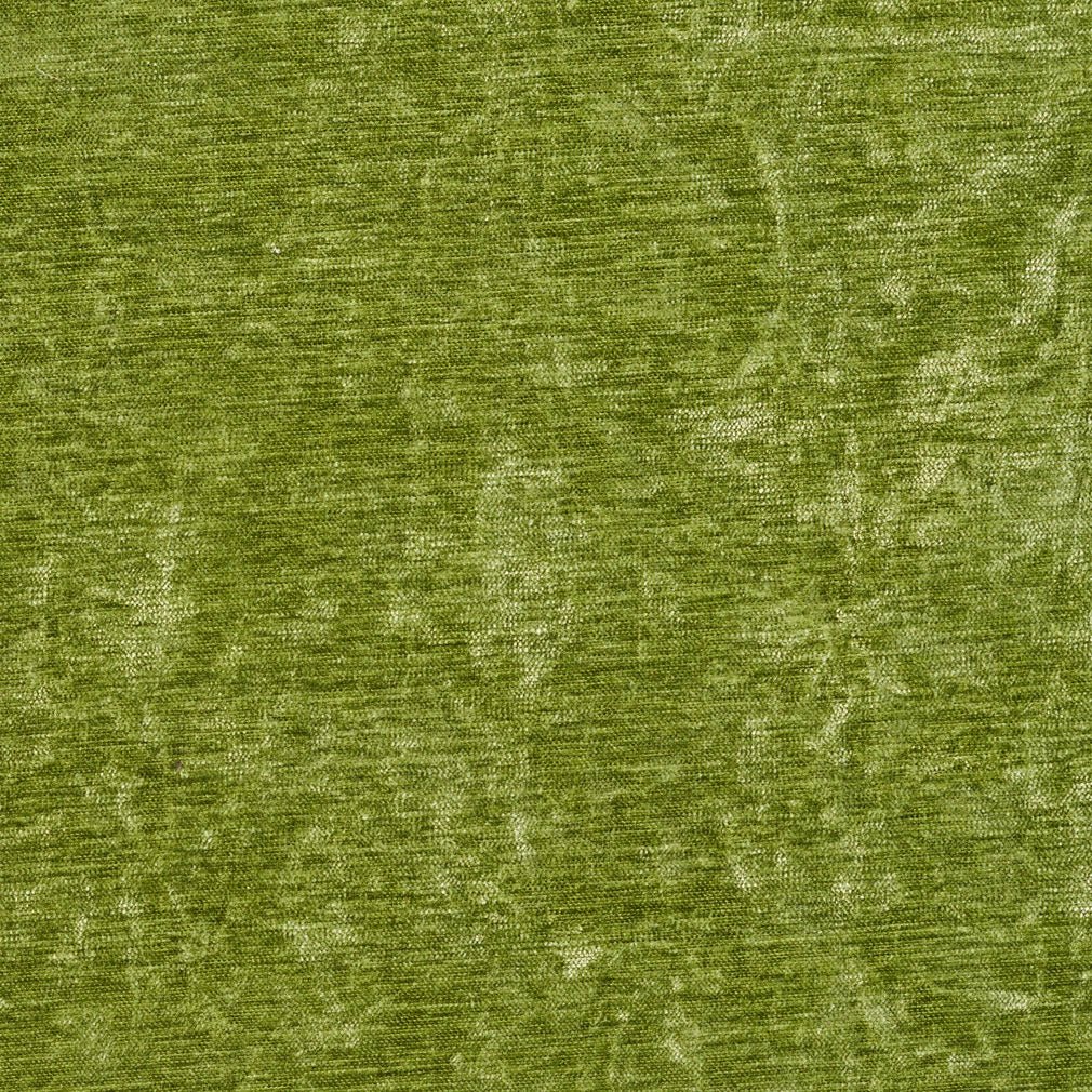 Garland Kiwi