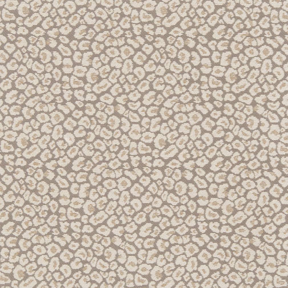 Garrison Oyster