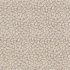 Garrison Oyster