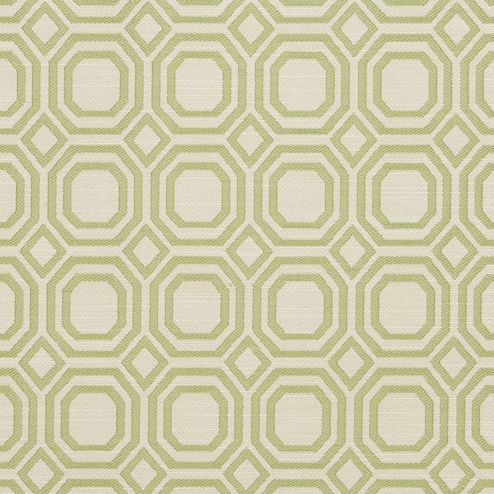 Geneva Kiwi