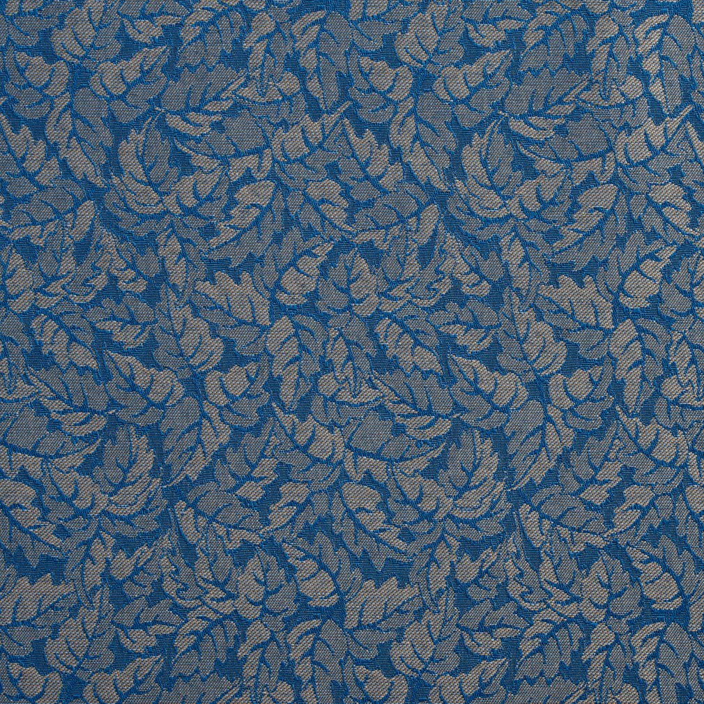 Gianni Bluebell