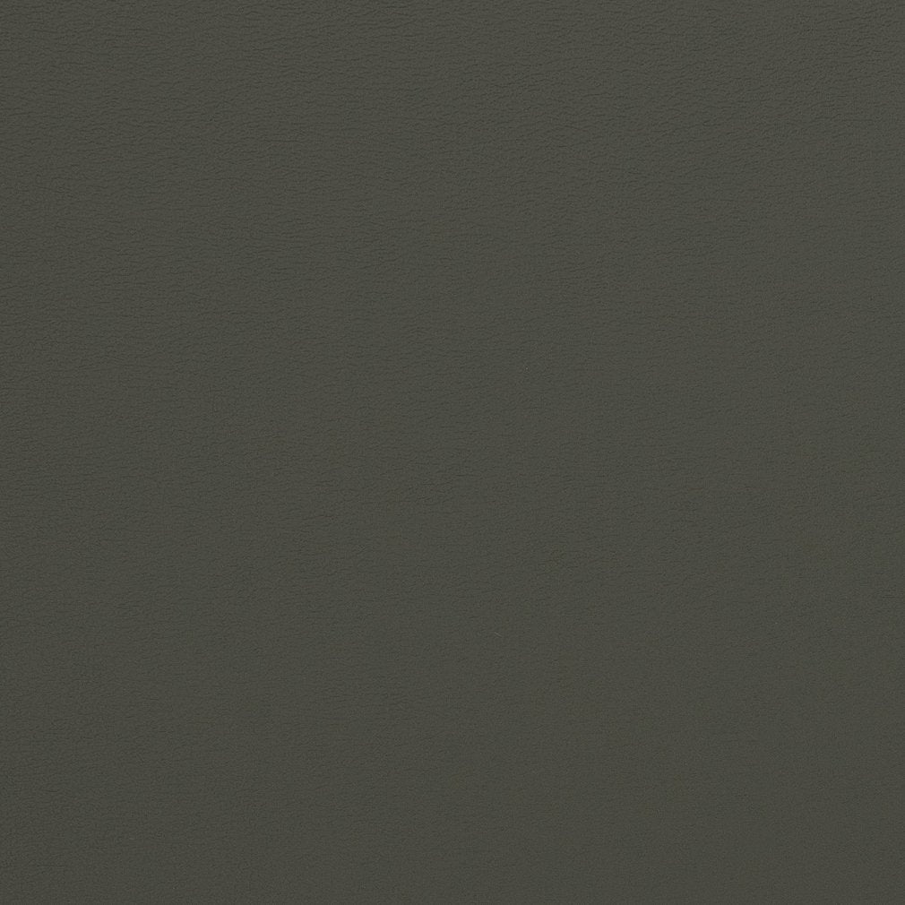 Gloria Charcoal
