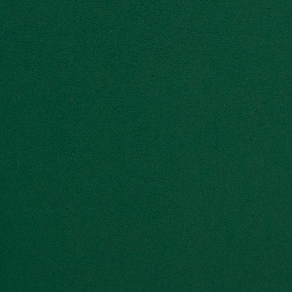 Gloria Evergreen