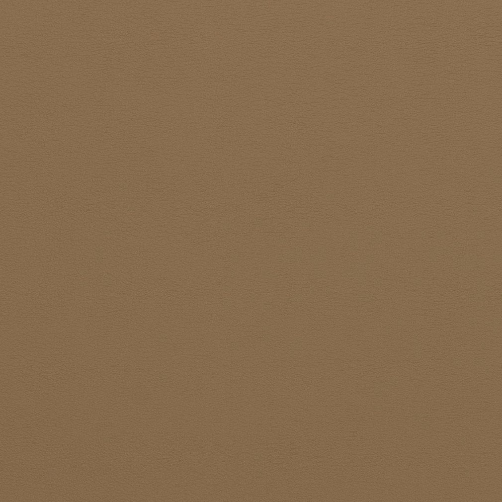 Gloria Latte