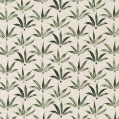 Harmony Aloe