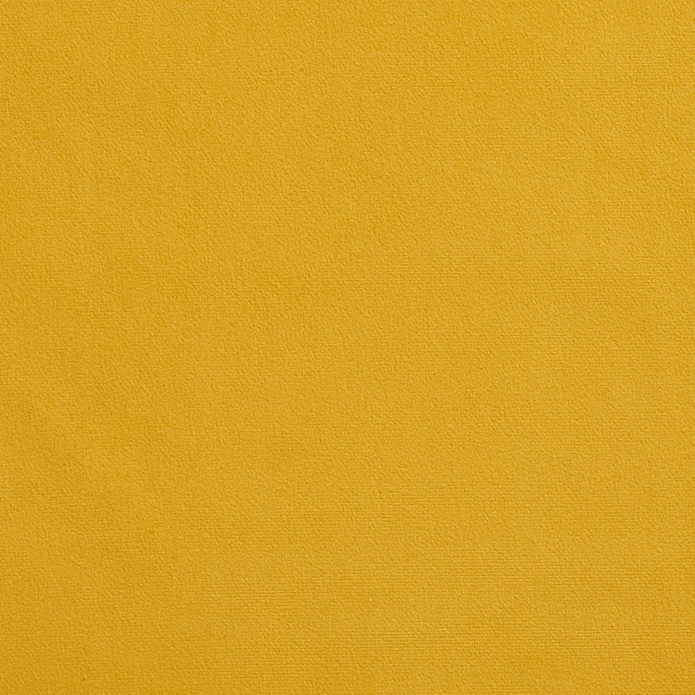 Hartford Canary