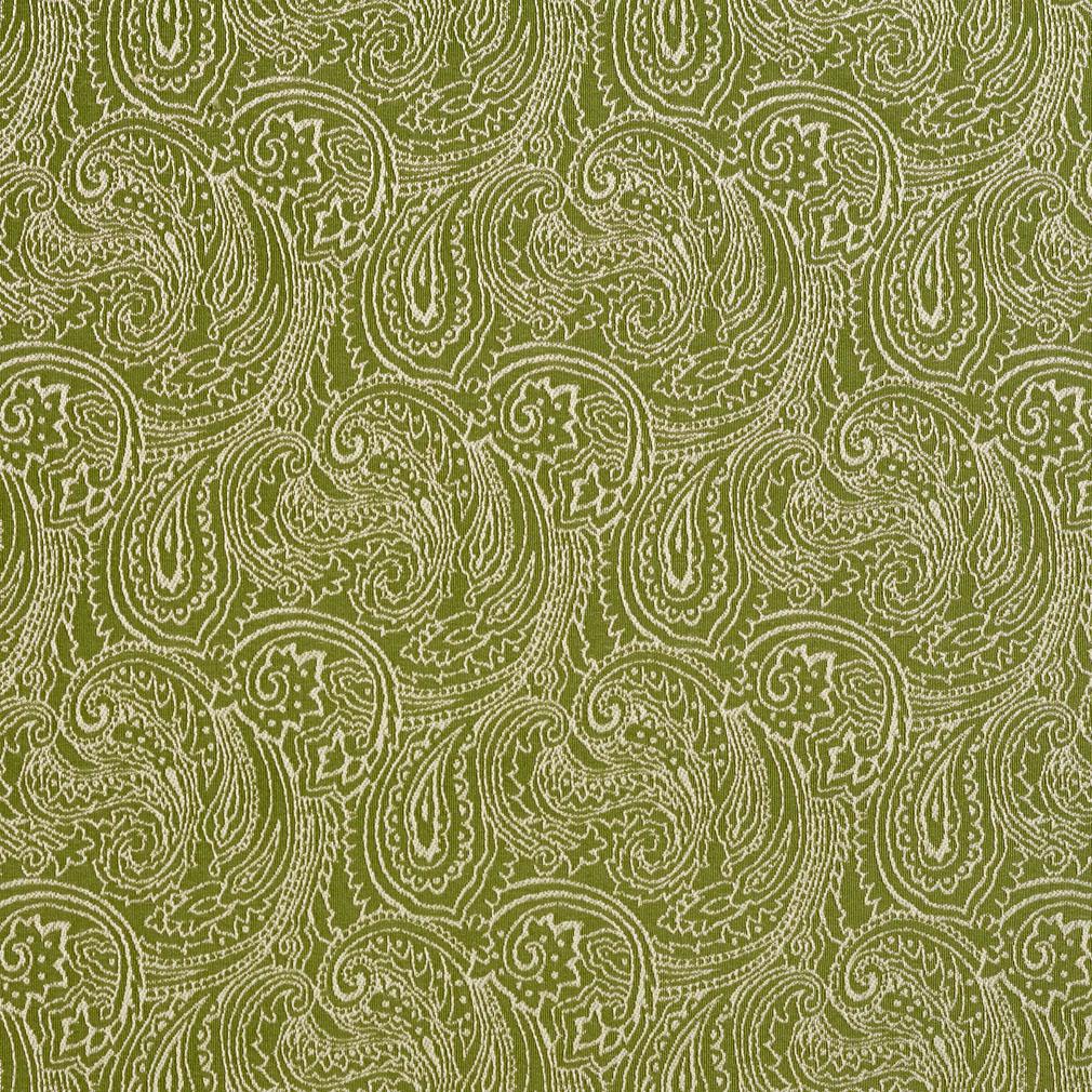 Hodge Fern