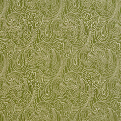 Hodge Fern