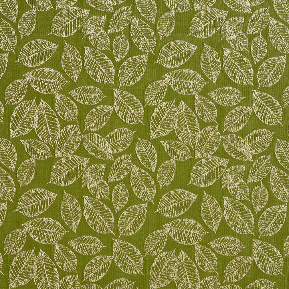 Holt Fern