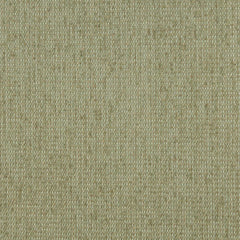 Houston Willow