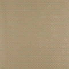 Jonah Chambray