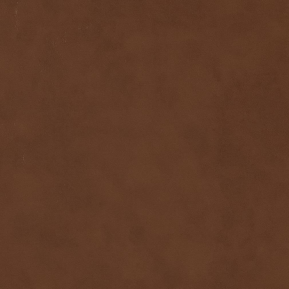 Langhorn Sepia