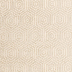 Lazo Fawn