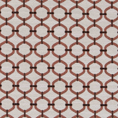 Ledger Salmon