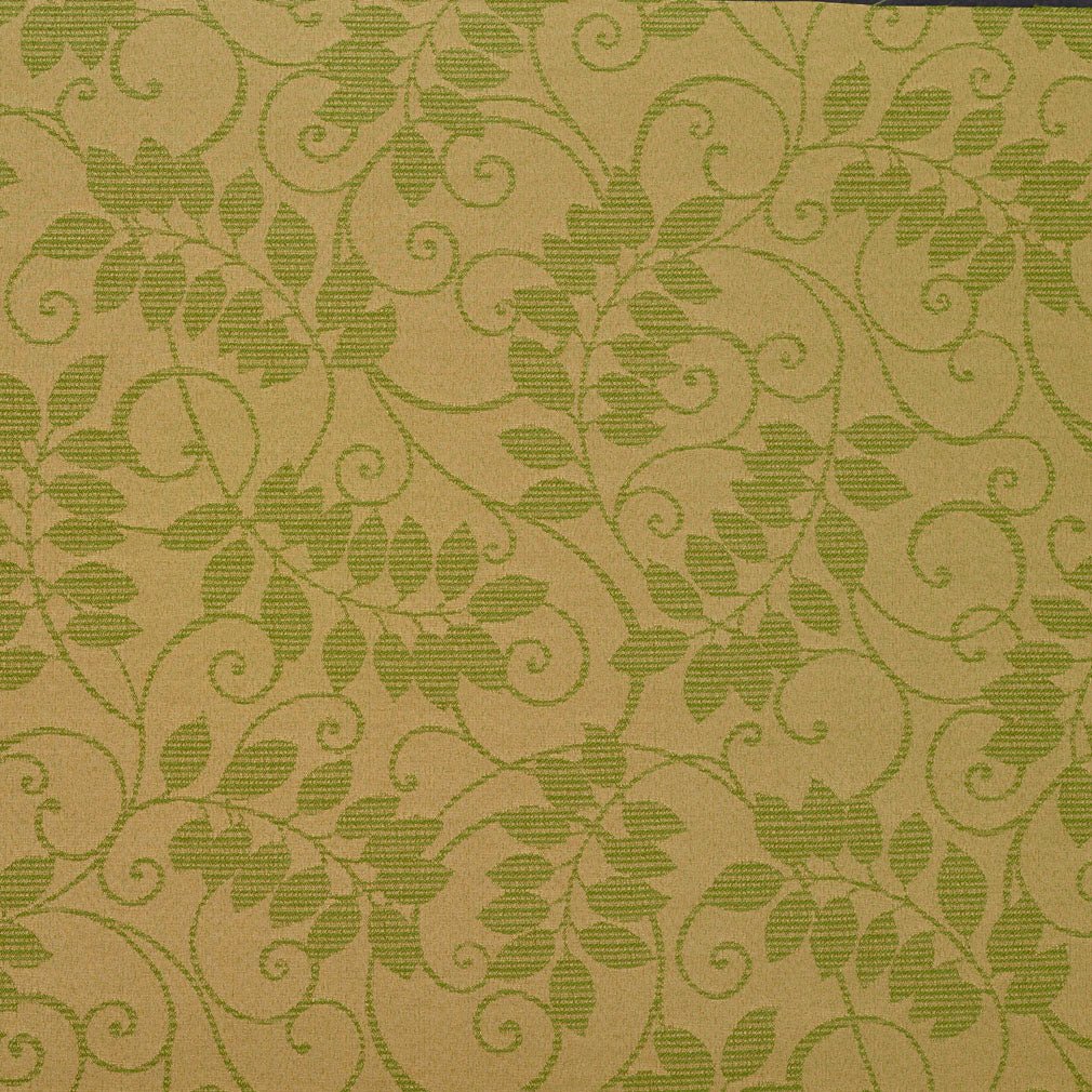 Leonardo Fern