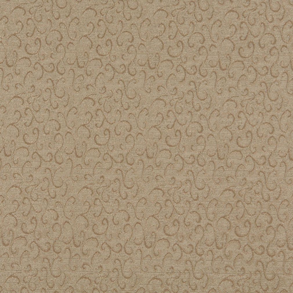 Lola Camel
