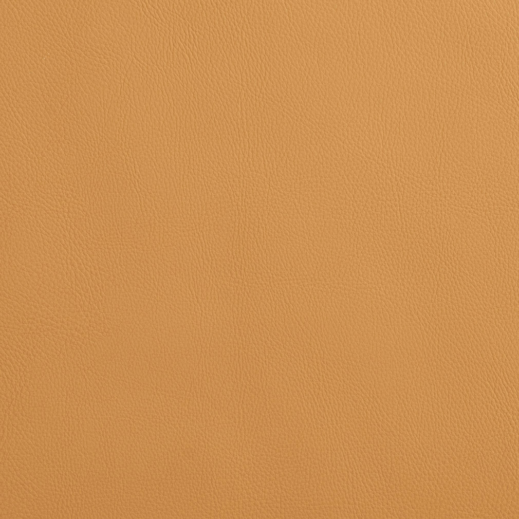 Louie Camel