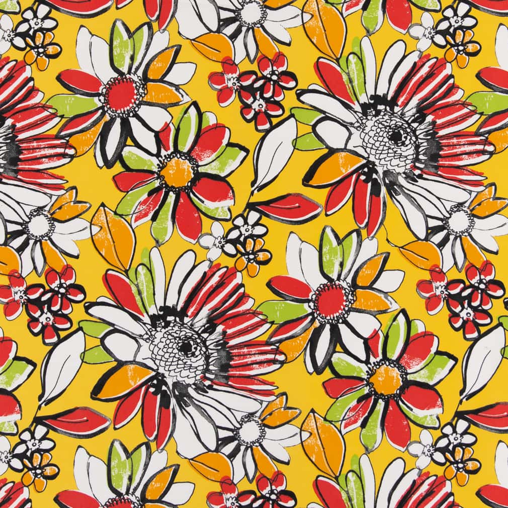 Lowery Canary