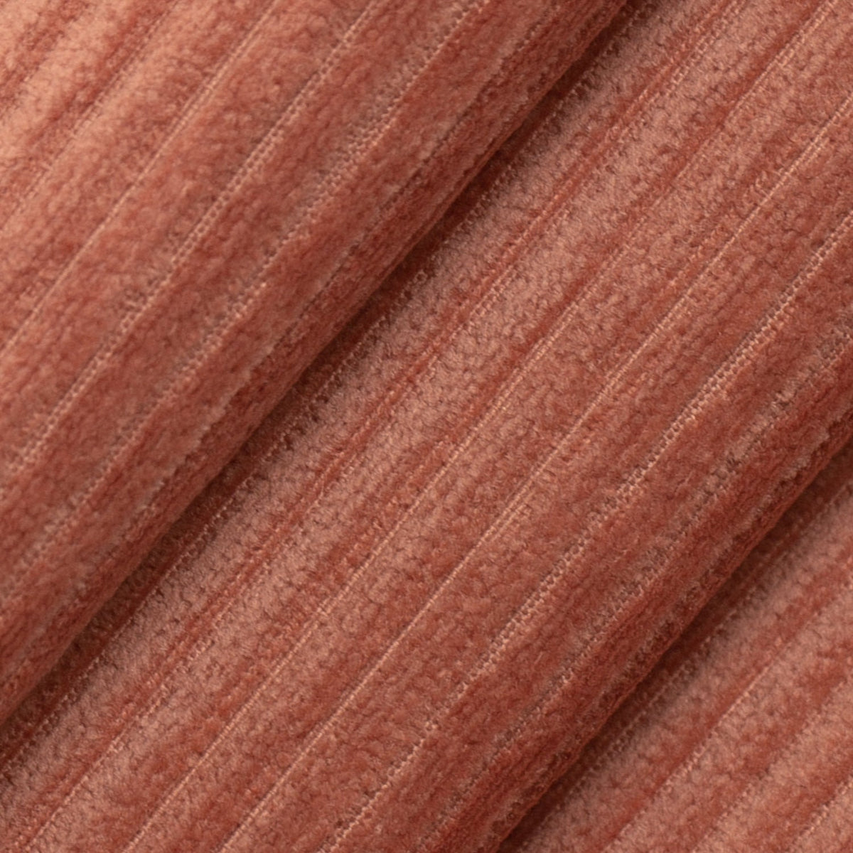 Marcus Coral