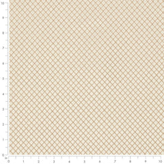 Marquee Parchment