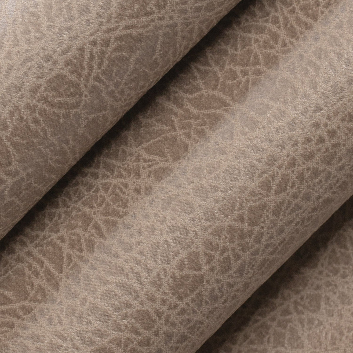 Massimo Beige