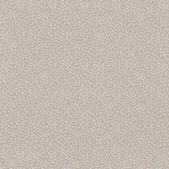 Meredith Taupe