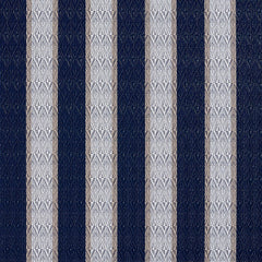 Modesta Cobalt