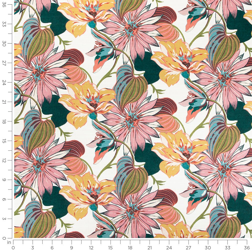 Montcalm Bloom