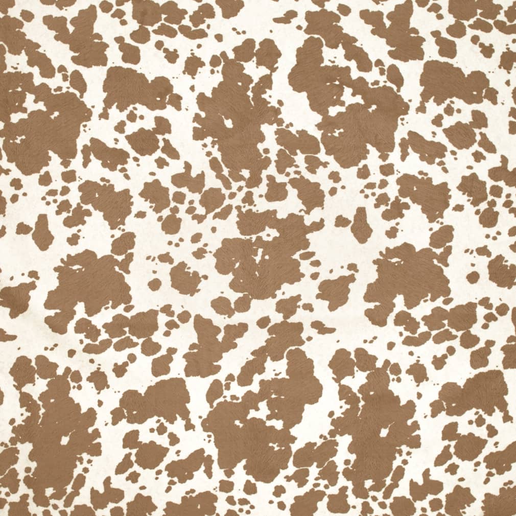 Neely Pecan