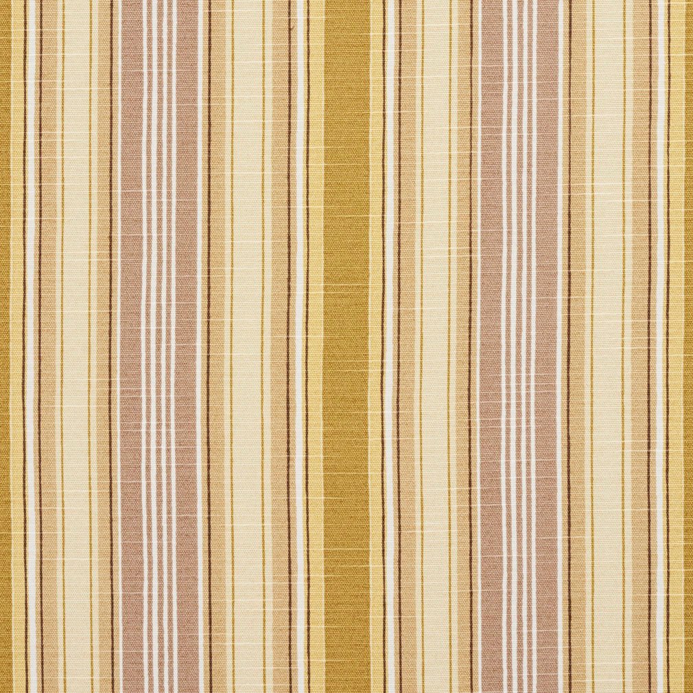 Nelson Taupe