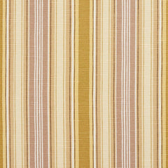 Nelson Taupe