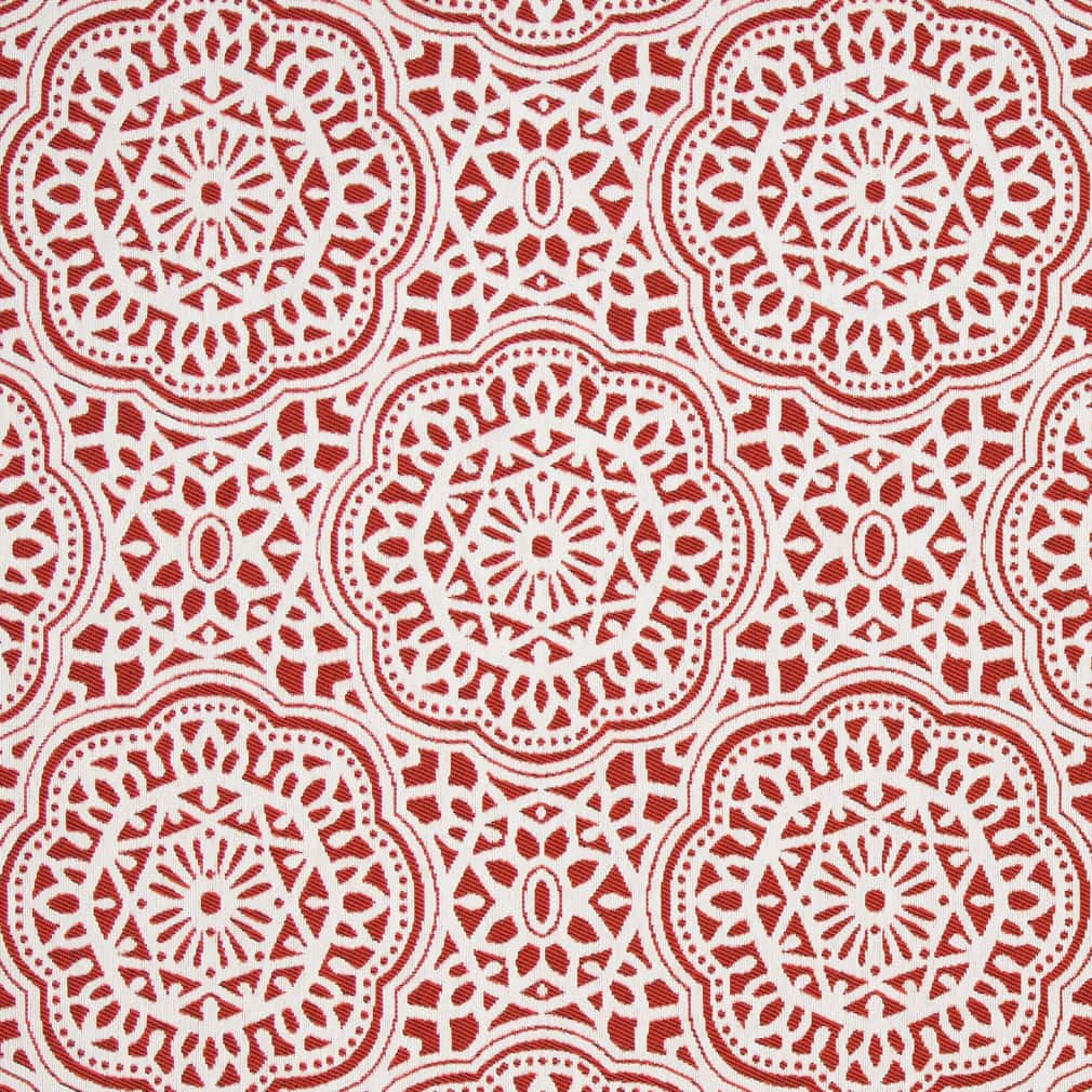 Newman Coral