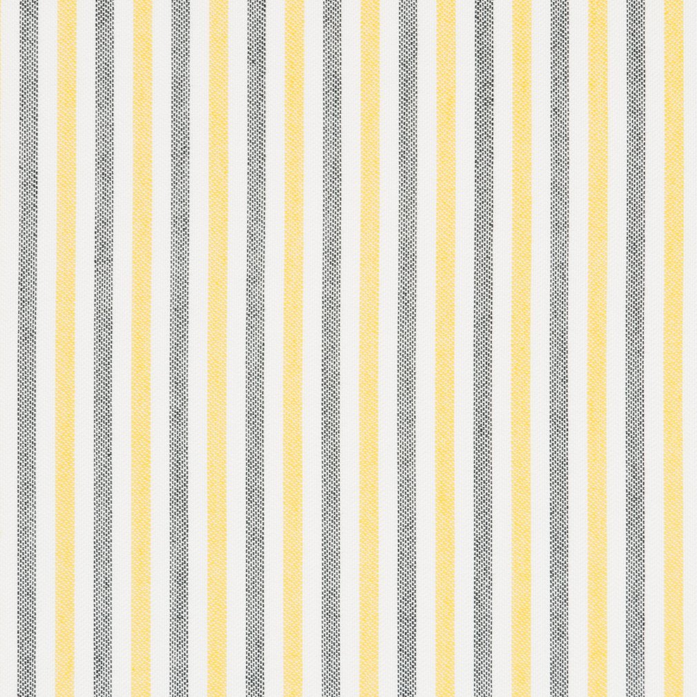Notion Lemon