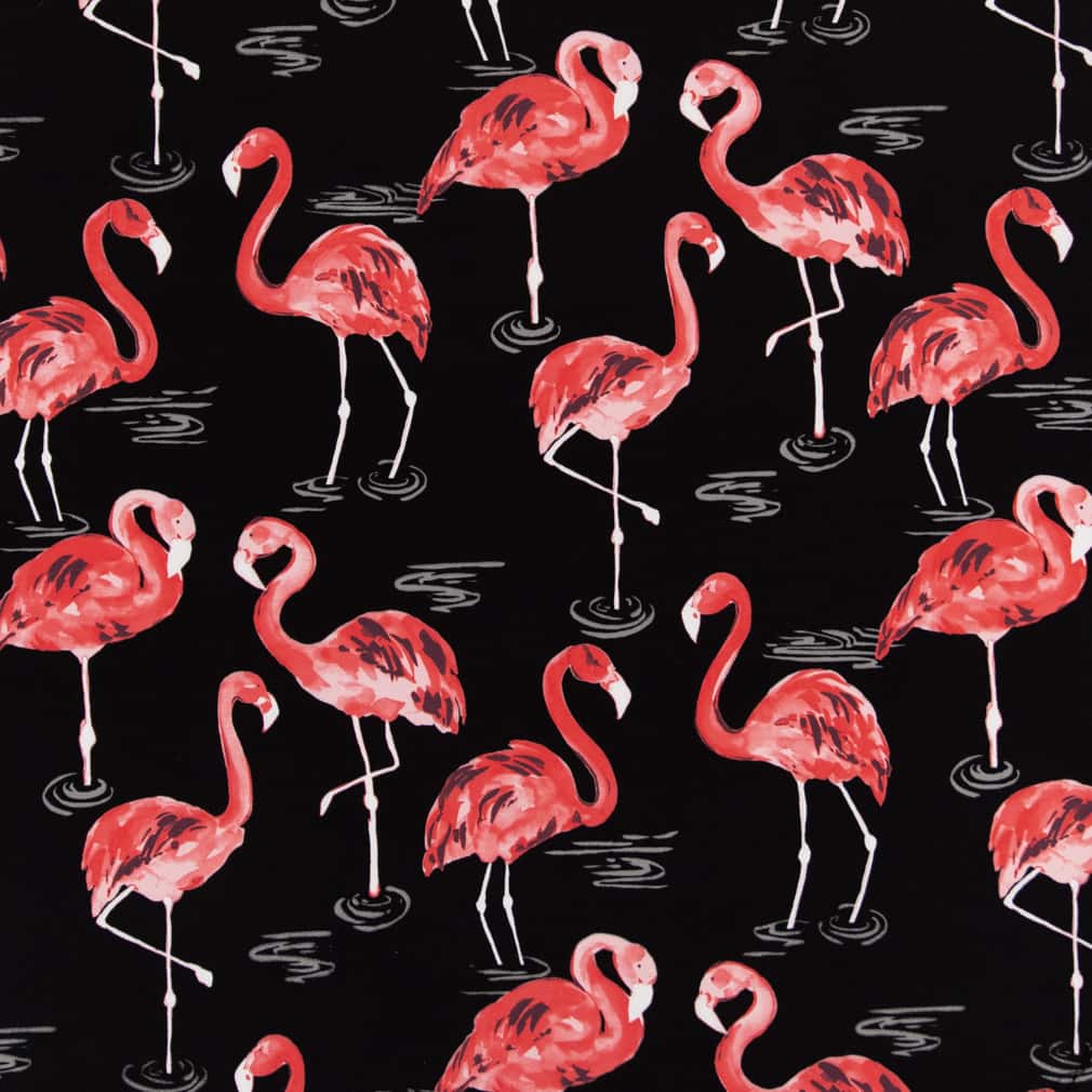 Palm Springs Flamingo