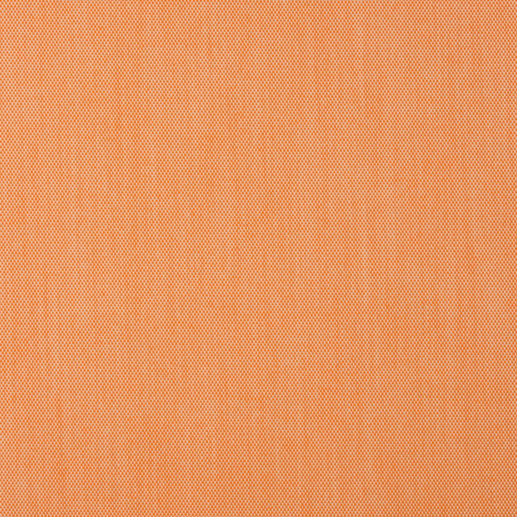 Patina Tigerlily