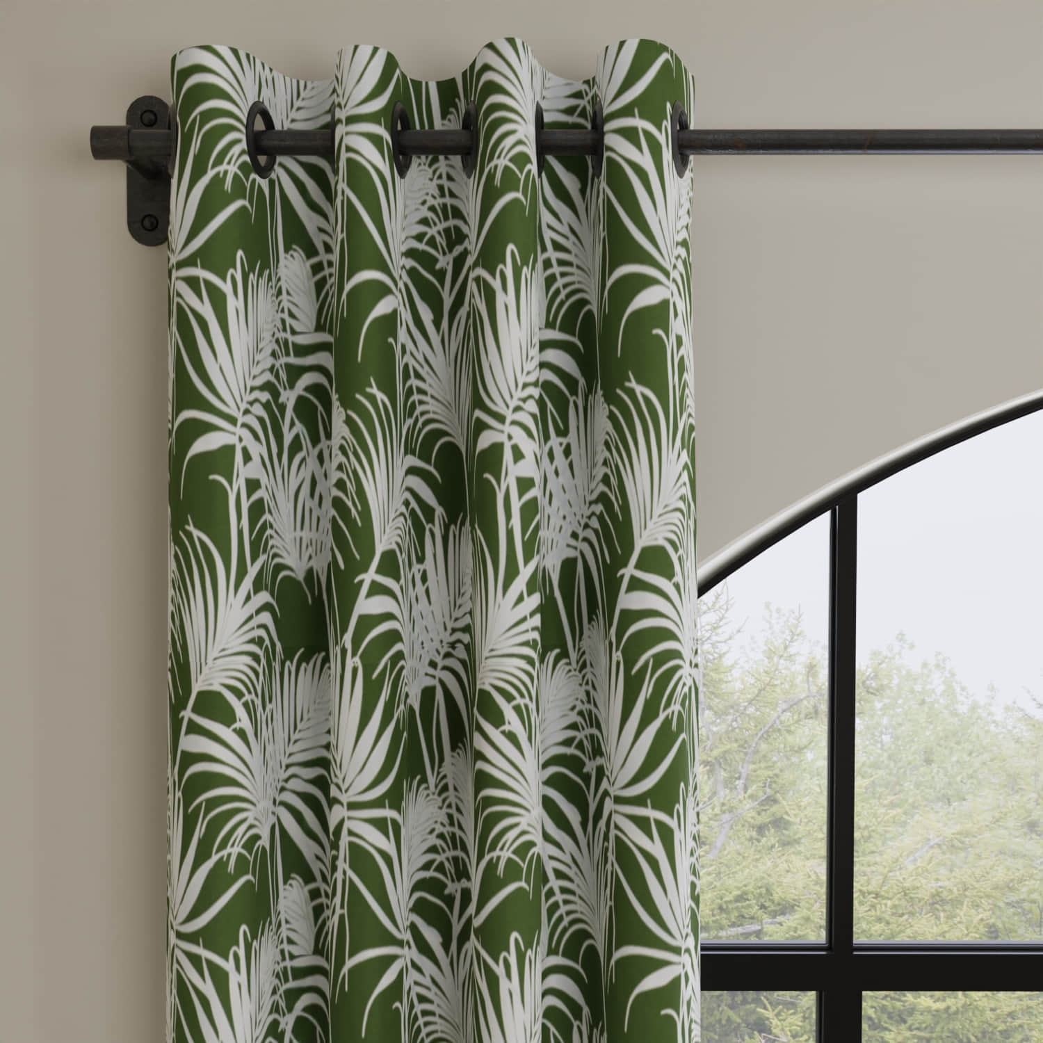 Peterson Fern