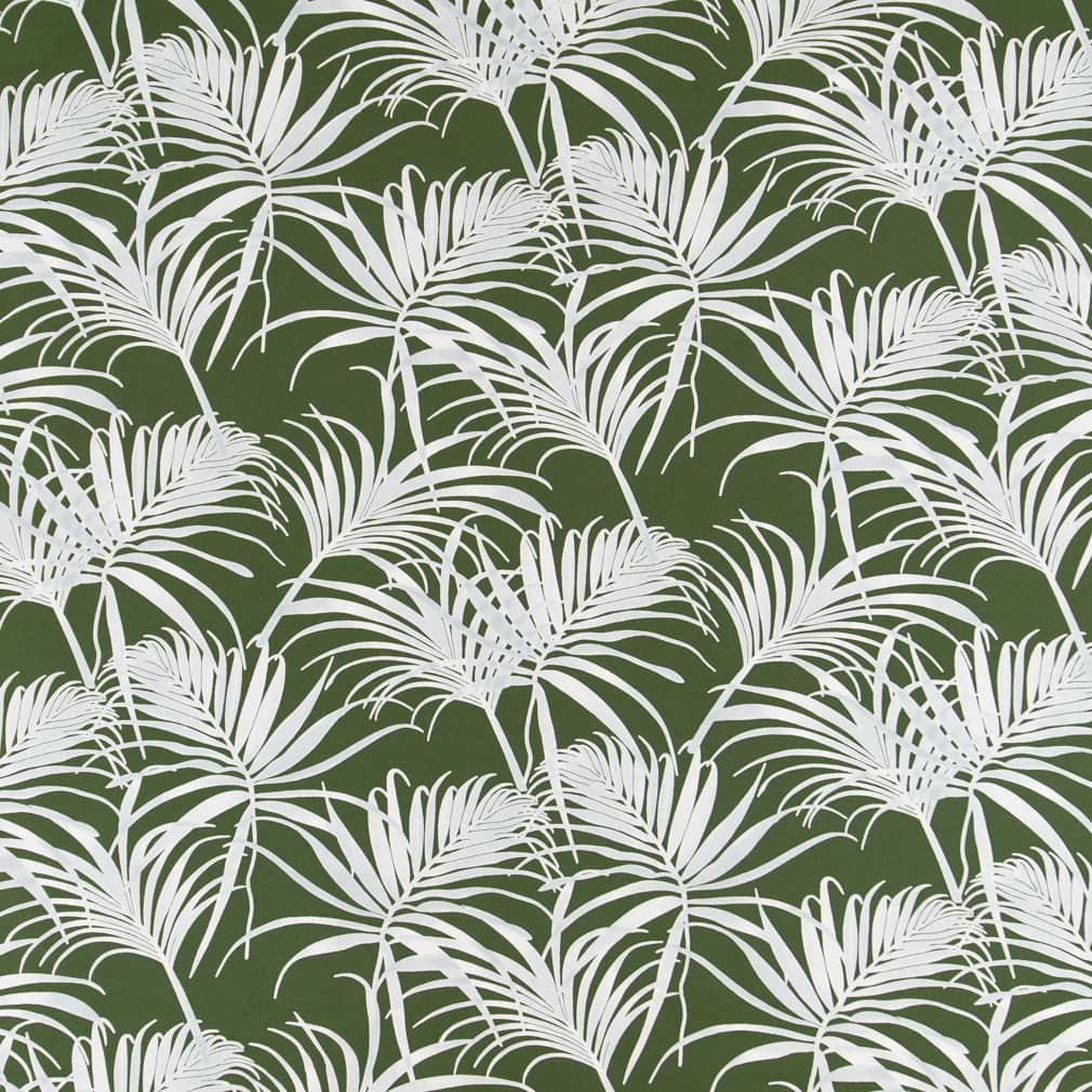 Peterson Fern
