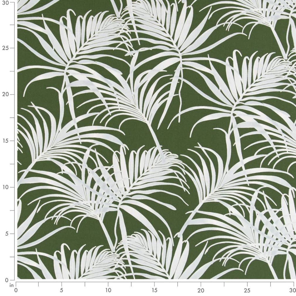 Peterson Fern