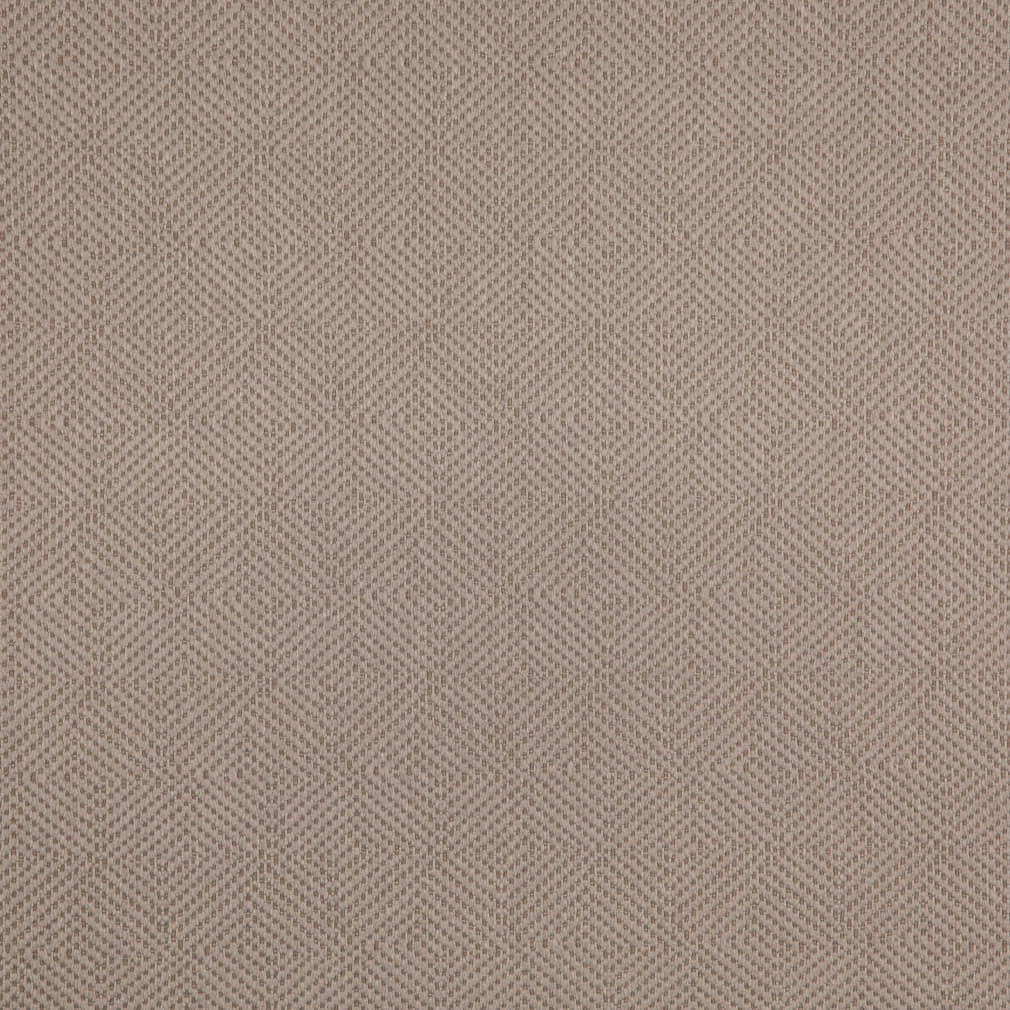 Rivena Driftwood