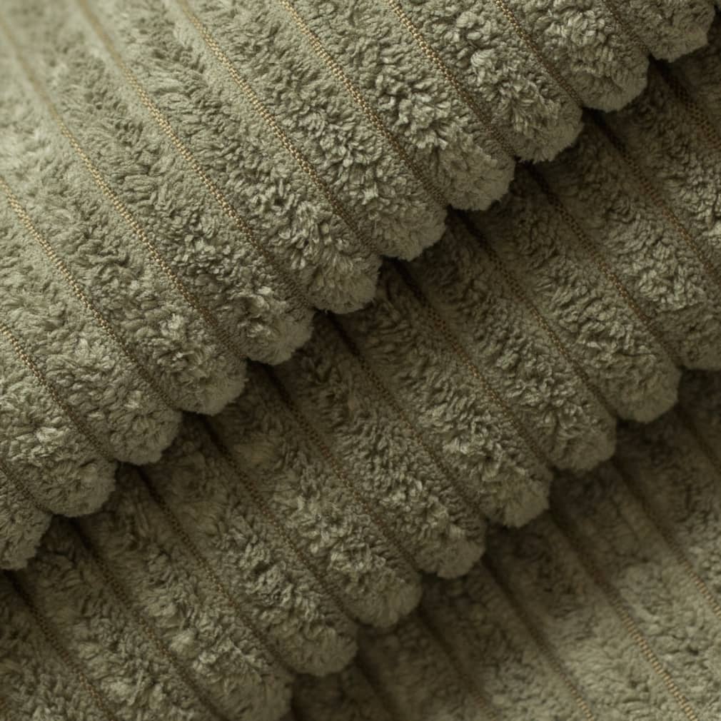Rosetta Fern