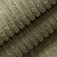 Rosetta Fern