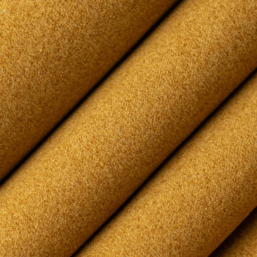 Teller Goldenrod