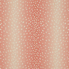 Whisper Pink