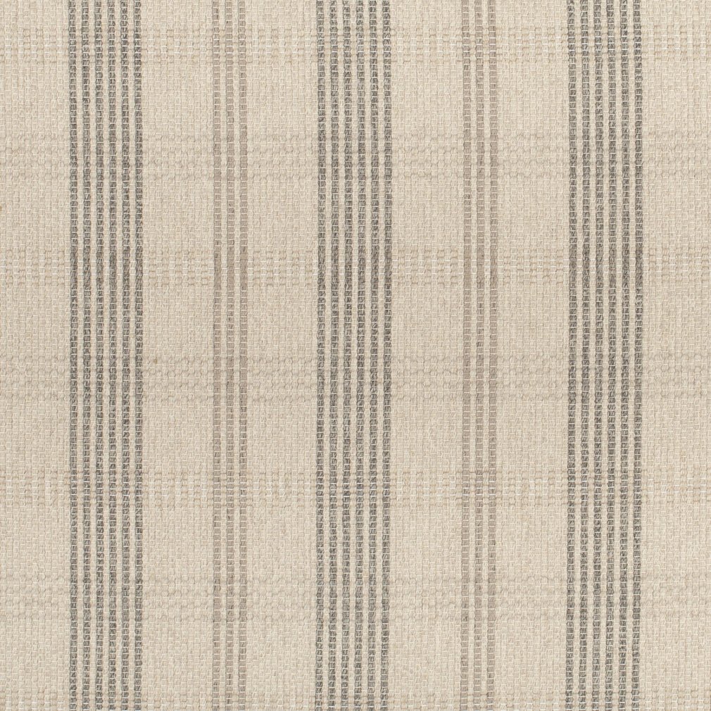 Wilcox Fossil