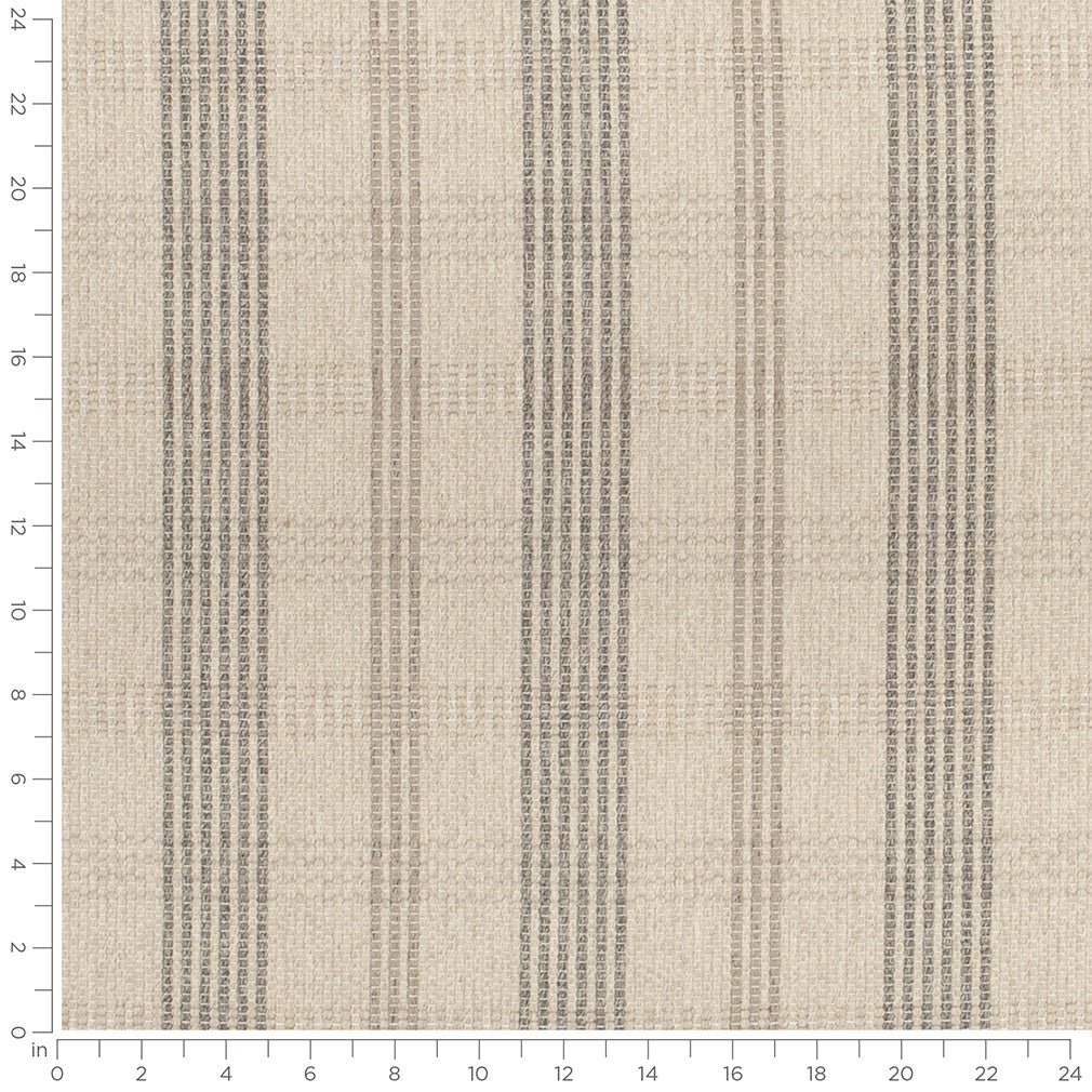 Wilcox Fossil